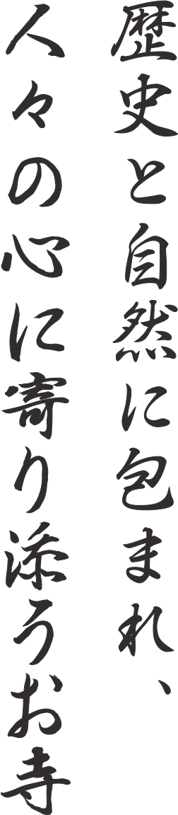 歴史と自然に包まれ、人々の心に寄り添うお寺